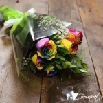 Rainbow Roses