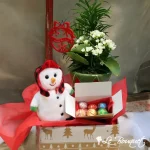 Dasher Gift Set (Premium, Snowman)