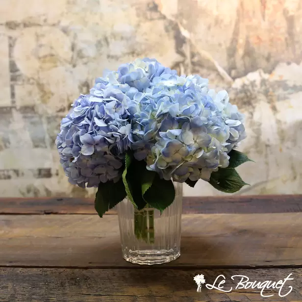 Heavenly Hydrangeas! (Blue, Standard)