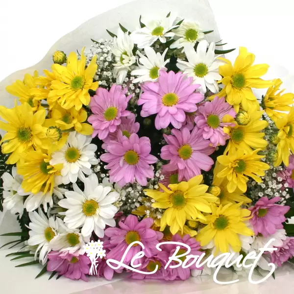 Daisies Bouquet Le Bouquet Montreal