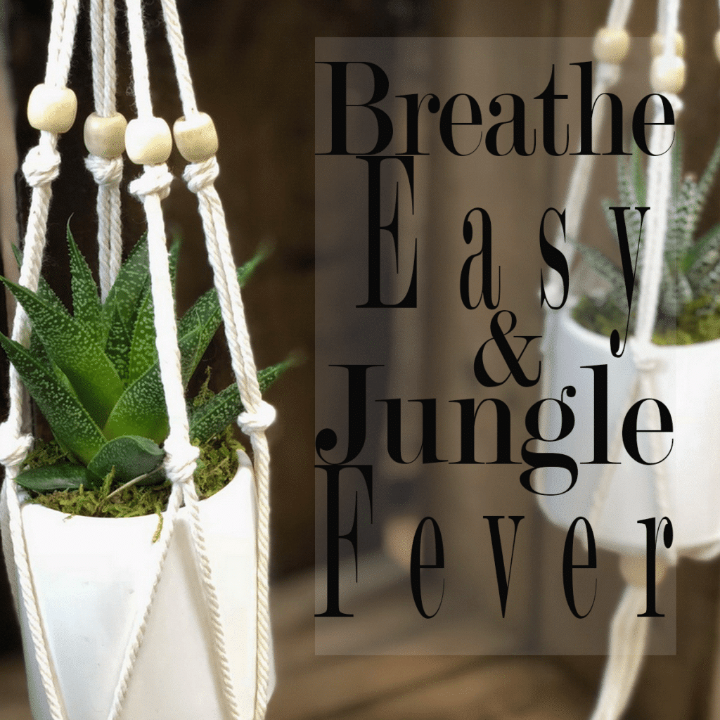 Breathe Easy and Transform Your Space into a Jungle!