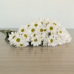 Marguerites