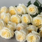 Candlelight Roses Embrace