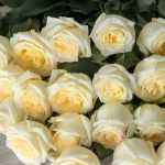 Candlelight Roses Embrace