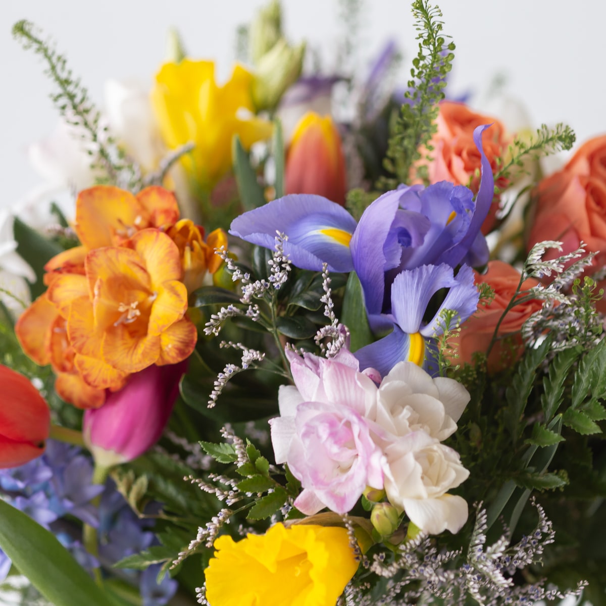 CUT4 BURST OF SPRING CLOSE UP