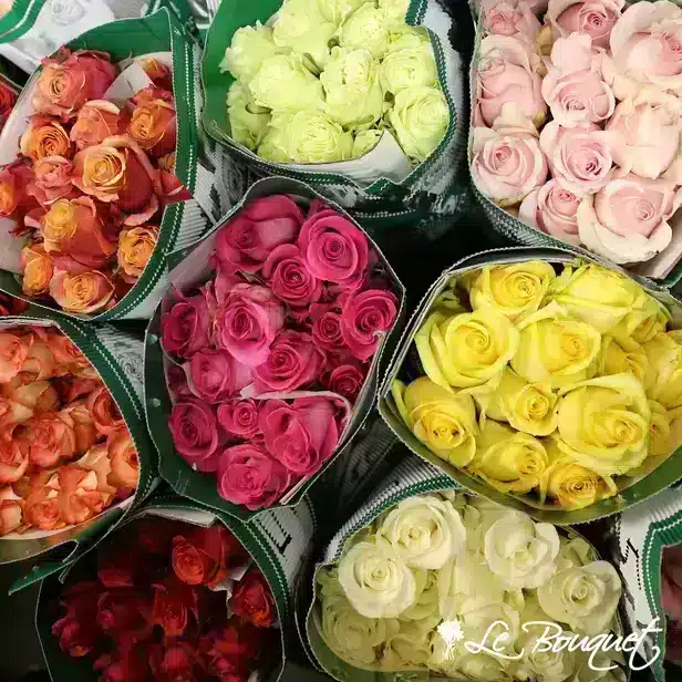 Roses couleurs assorties 60 cm