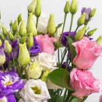 Lisianthus en vrac