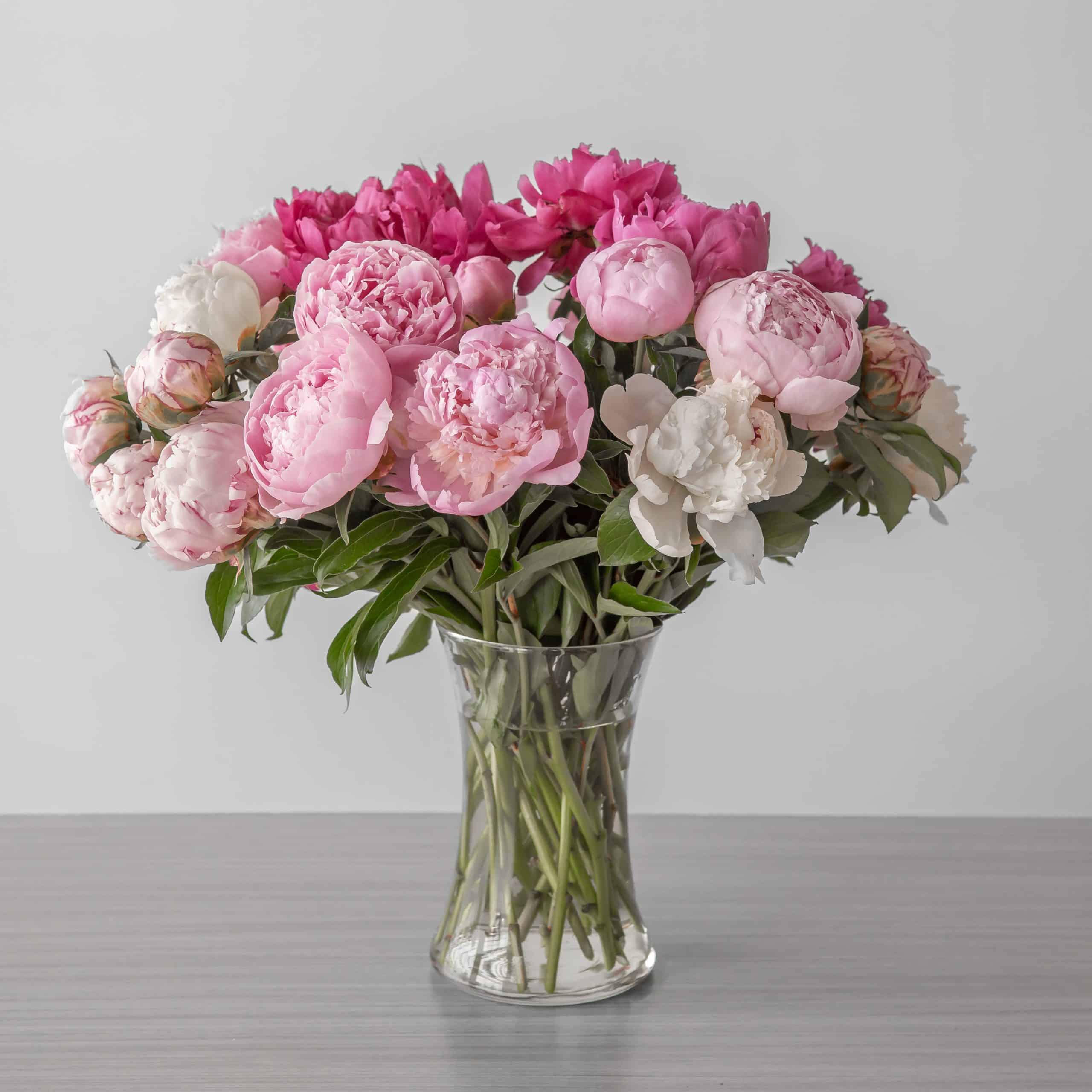 Pretty Peonies – Assorted Colour Peony Bouquet (30 stems, Arranged bouquet in vase)