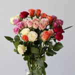Spray Roses Assorted (Bulk DIY)