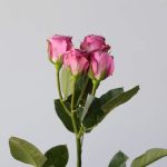 Spray Roses Lavender Irishka (Bulk DIY)