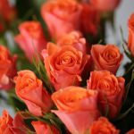 Spray Roses Orange Star (Bulk DIY)