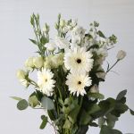 Ensemble de fleurs en vrac 5.1