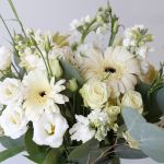 Ensemble de fleurs en vrac 5.1