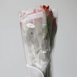 Alstroemeria Hot Pepper Orange (Bulk DIY)