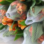 Alstroemeria Jaffa Orange Perfection (Bulk DIY)