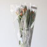 Alstroemeria Jaffa Orange Perfection (Bulk DIY)