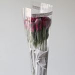 Alstroemeria Napoli Purple Perfection (Bulk DIY)