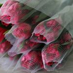 Alstroemeria Nora Hot Pink Perfection (Bulk DIY)