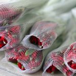 Alstroemeria Romance Rouge Perfection en vrac