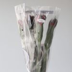 Alstroemeria Romance Rouge Perfection en vrac