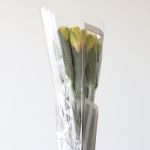 Alstroemeria Sunny Lady Yellow (Bulk DIY)