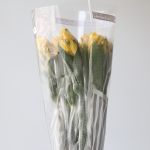 Alstroemeria Voyager Yellow Perfection (Bulk DIY)