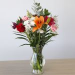 Bulk DIY Bundle Set 12.1