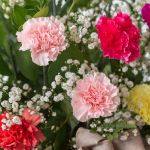 Abundant Carnations