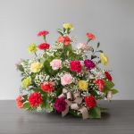 Abundant Carnations