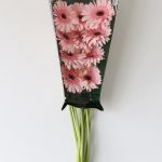 Gerbera Cameron Pink (Bulk DIY)