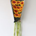 Gerbera Candy Corn (Bulk DIY)