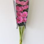 Gerbera Dreamer (Bulk DIY)