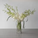 Pacific Paradise Dendrobiums (Standard, Arranged bouquet in vase)