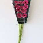 Mini Gerbera Design Fuchsia (Bulk DIY)