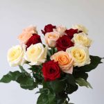 Roses 40cm