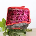 Rose Cool Water 60cm (Bulk DIY)