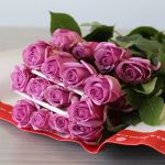 Rose Cool Water 60cm (Bulk DIY)