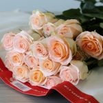 Rose Tiffany 70cm (Bulk DIY)