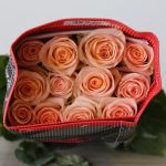 Rose Tiffany 70cm (Bulk DIY)
