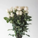 Rose Vendelas Blancs 70 cm (En Vrac)