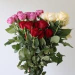 Roses Assorted Colors 70cm (Bulk DIY)