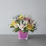 Orchid Symphony