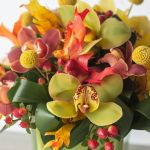 Fall Orchid Symphony