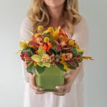 Fall Orchid Symphony