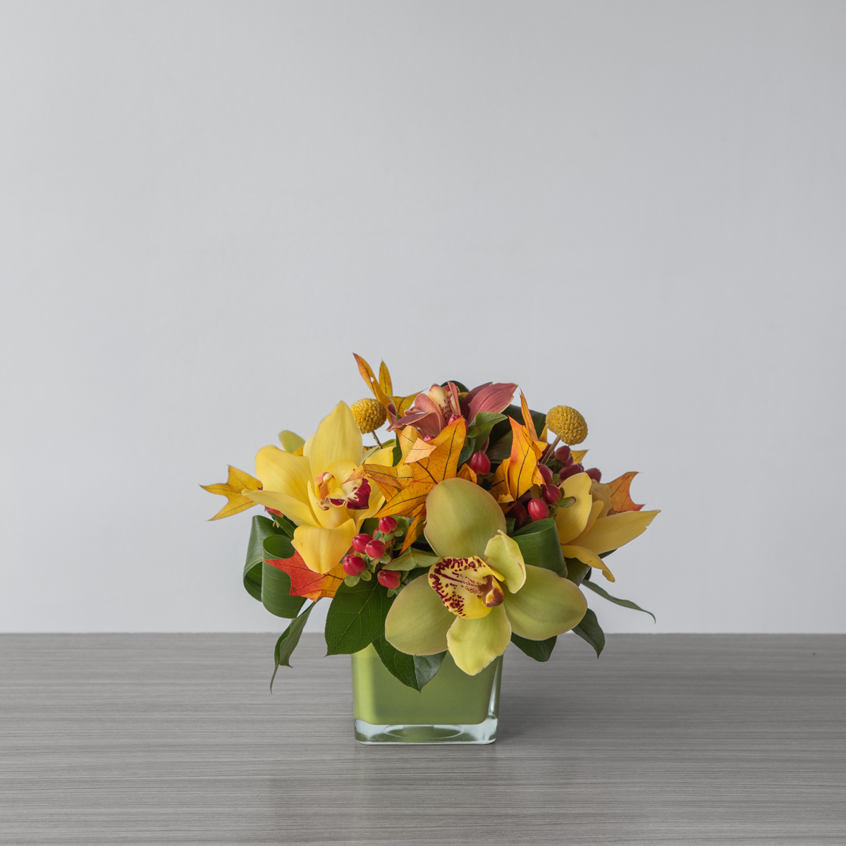 Fall Orchid Symphony Arrangement Le Bouquet