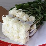 Rose Playa Bianca 60cm (Bulk DIY)