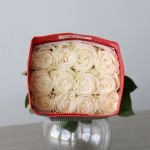 Rose Playa Bianca 50cm (Bulk DIY)