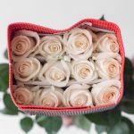 Rose Playa Bianca 60cm (Bulk DIY)