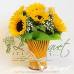 Special Offers