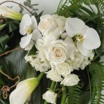 Coeur Toucher de la Nature